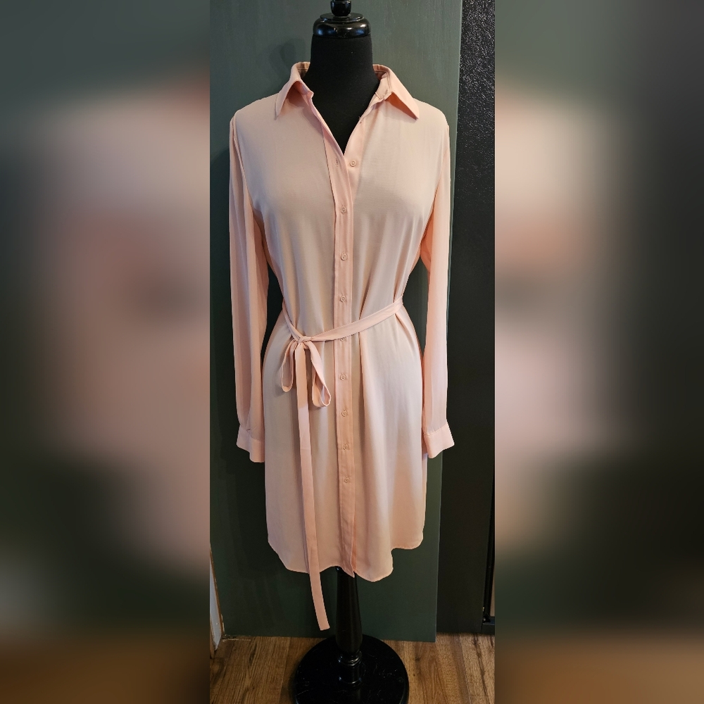 Mango Sheer Dress